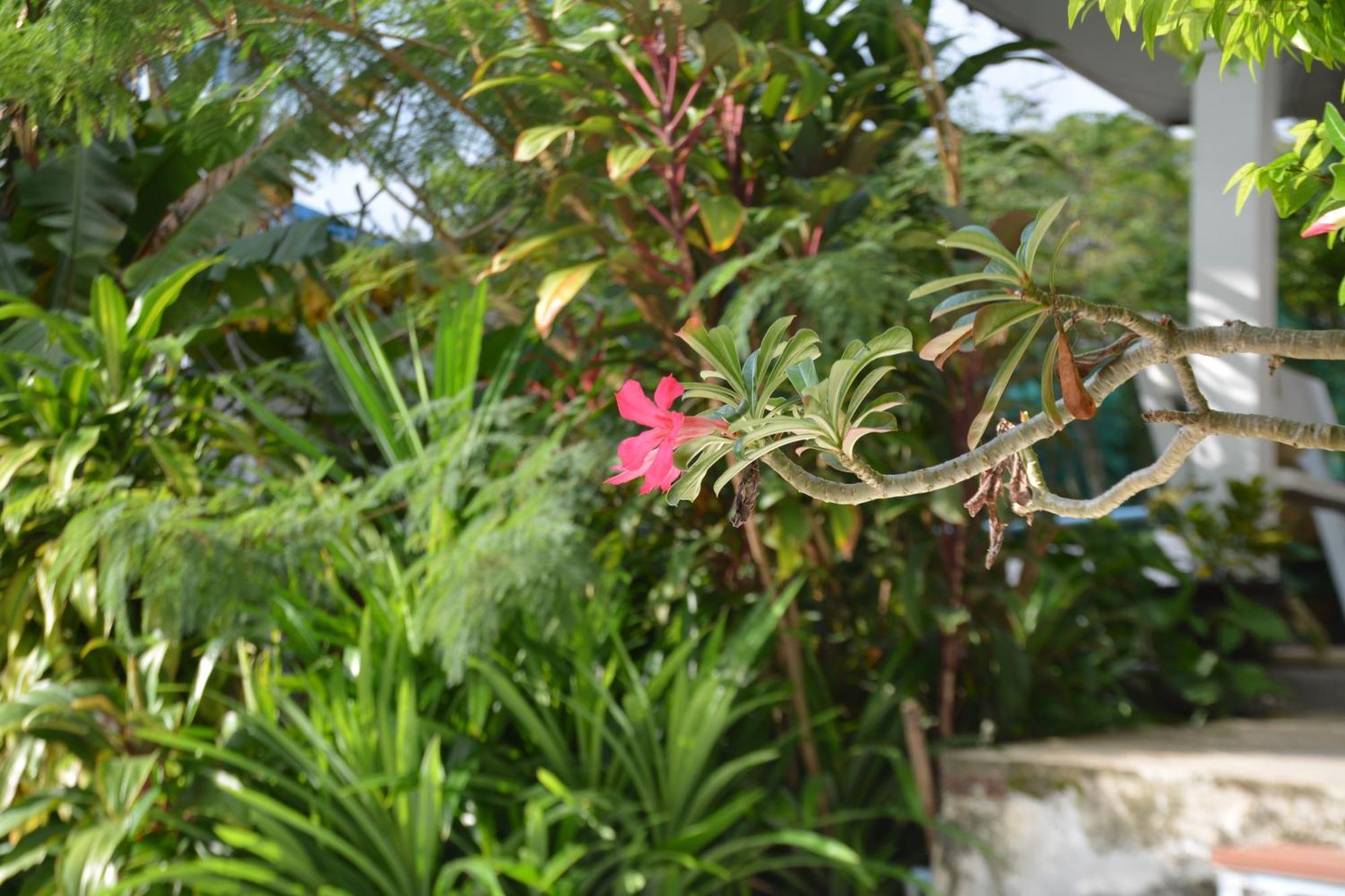Baan Suan Villa 1 Patong 외부 사진